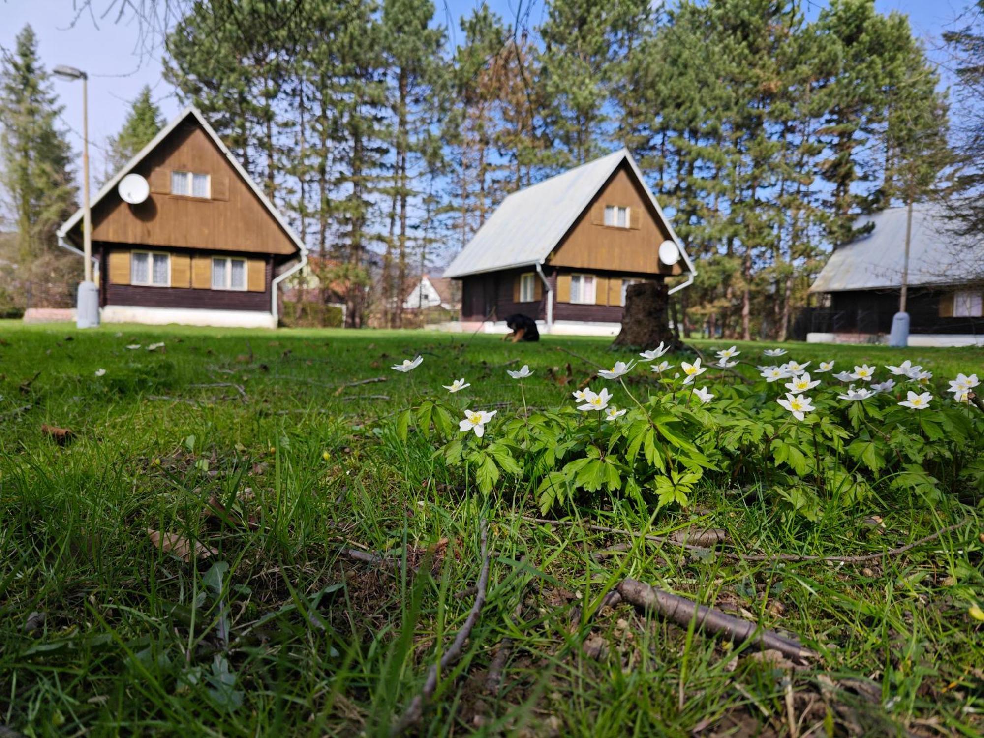 Bungalovy Roznov Villa Rožnov pod Radhoštěm Kültér fotó